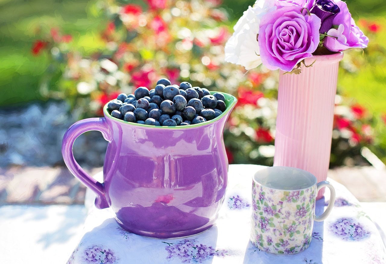 purple jug filled with blueberries along side a vase of flowers