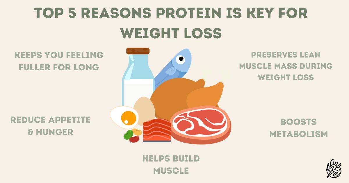 How To hit your protein goal info graphic featuring a cartoon image of a selection of protein items